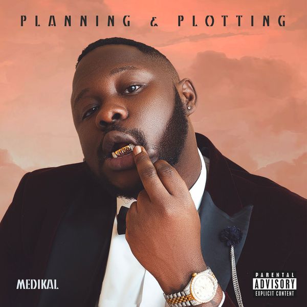 Medikal - Planning & Plotting (Full Album)