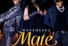 Lulu Diva ft. Mabantu – Wanamezea Mate