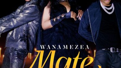 Lulu Diva ft. Mabantu – Wanamezea Mate