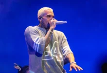 Chris Brown Fills Up FNB Stadium In South Africa!!