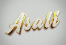Geniusjini X66 – Asali