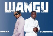 Marioo ft. Harmonize - Wangu