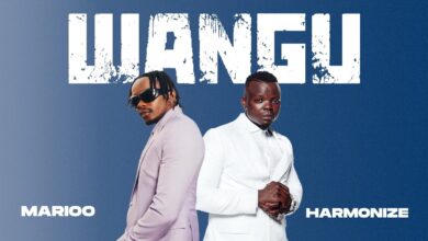 Marioo ft. Harmonize - Wangu