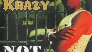 Dandy Krazy - No Guilty Album