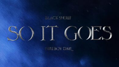 Black Sherif ft. Fireboy DML - So It Goes