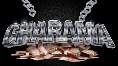 D Voice – Gharama