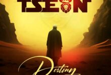 T Sean - Destiny