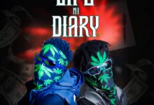 Team High Saana - Life Ni Dairy