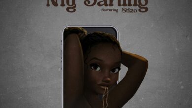 Adasco & Stizo – My Darling