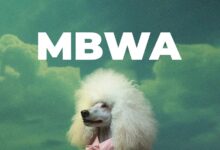 D Voice – Mbwa