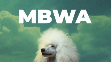 D Voice – Mbwa