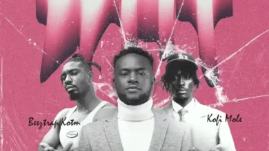 DJ Ikon ft. Beeztrap KOTM & Kofi Mole - Why