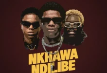 Kineo, Joe Ikon & Aidfest - Nkhawa Ndilibe