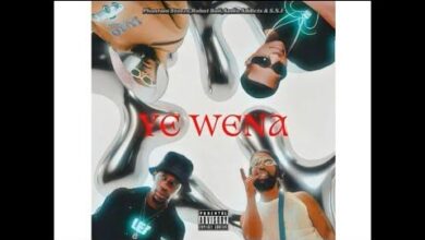 Phantom Steeze, Robot Boii, Audio Addicts & S.N.E - Ye Wena