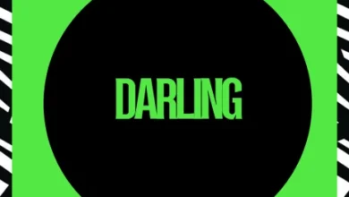 Dlala Chass - Darling