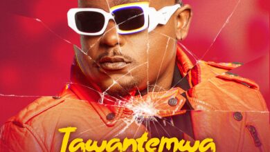T Sean - Tawantemwa Saana