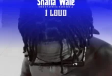 Shatta Wale - I Loud