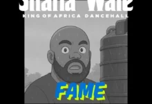 Shatta Wale - Fame