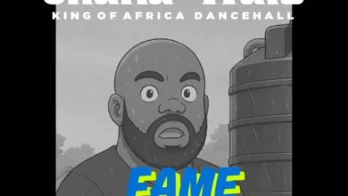Shatta Wale - Fame