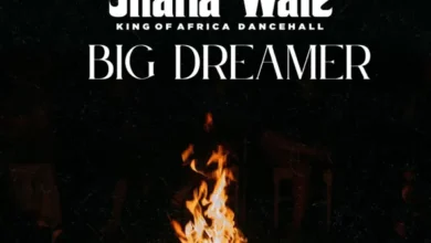 Shatta Wale - Big Dreamer