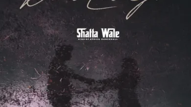 Shatta Wale - Don’t Let Go