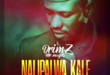 Drimz - Nalipalwa Kale