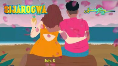 Sani Boy – Sijarogwa