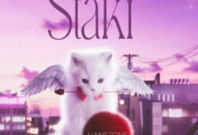 Hanstone – Staki