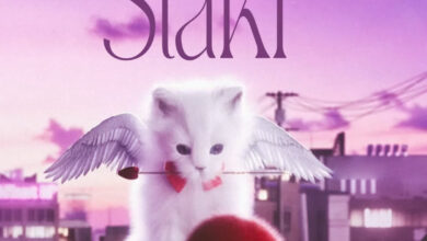 Hanstone – Staki