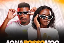 Zoli White Smoke & SmeezyOn The Beat ft. Ck The Dj - Aona Bosso Moo