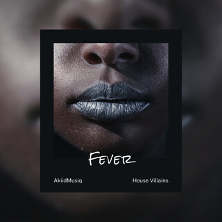 AkiidMusiq & House Villains - Fever