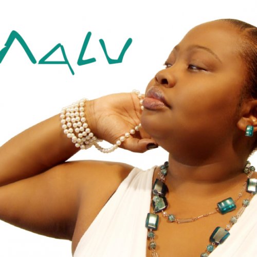 Nalu ft. Exile – House, Money, Car