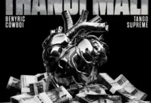 Cyfred, Sayfar & Scott's Maphuma ft. Benyric, Tango Supreme & Cowboii - Thandi Mali
