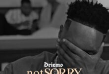 Driemo – Not Sorry