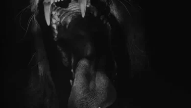 Baxon- Moithakathi