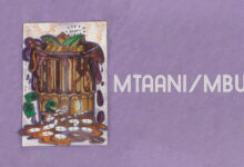 Dwin – MTAAN