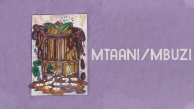 Dwin – MTAAN