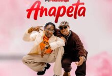 Spender ft. P Mawenge – ANAPETA