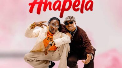 Spender ft. P Mawenge – ANAPETA