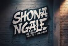 Bama Caboom, Bailey RSA & Iyane Jamdong - Shona Ngale