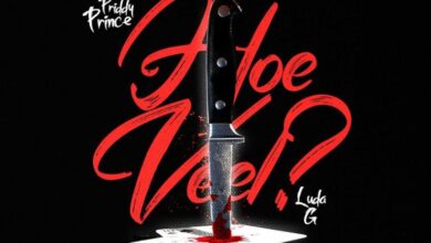 Priddy Prince & Luda G – Hoeveel
