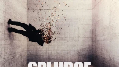 Shatta Wale - Splurge