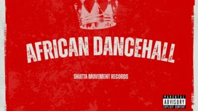 Shatta Wale - African Dancehall