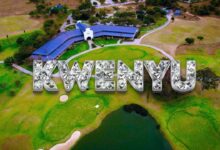 Drimz - Kwenyu (Official Video)