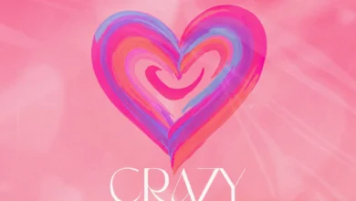 Wendy Shay & Olivetheboy - Crazy Love