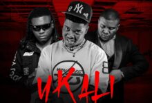 Y Cool ft. Stevo & Tommy D - Ukali