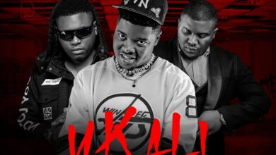 Y Cool ft. Stevo & Tommy D - Ukali