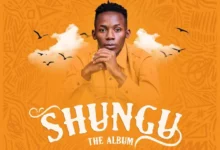 Nicky Genius - Shungu Album