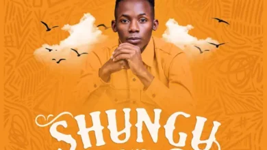 Nicky Genius - Shungu Album