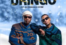 Soultaker Mthathi & Moreki ft. Kay-9ine & Asa Chabalala – uRingo